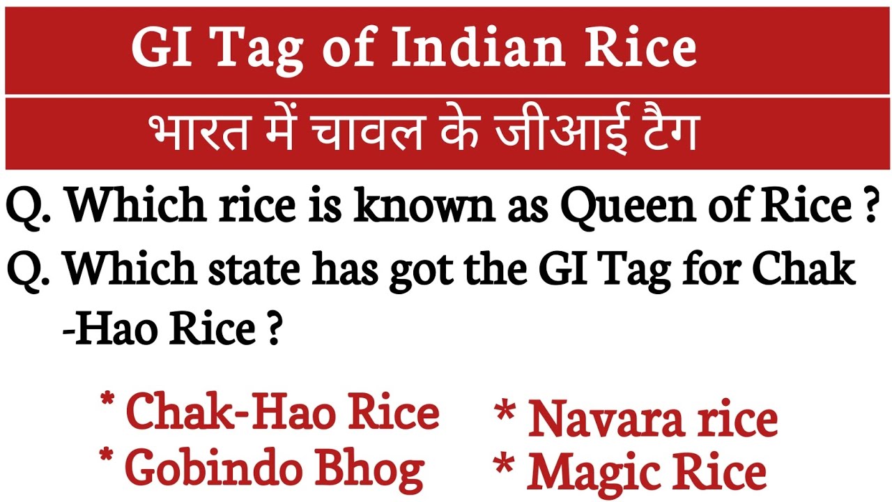 Long Rice Gi Tag GI tag for different types of Indian Rice l भारत में चावल के जीआई टैग l ...