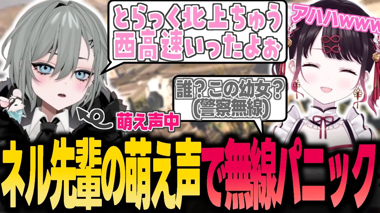 【ストグラ】犯罪対応中に萌え声ヘリ部隊を結成し警察無線にパニックを与える二十日ネルとなずぴ(10)【花芽なずな/ぶいすぽ/切り抜き】