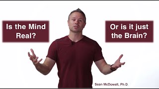 The Brain and Mind are Not the Same Things. SeanMcDowell.org