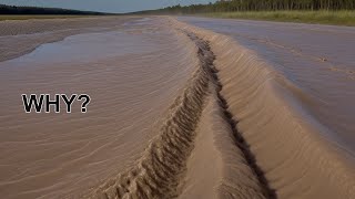 3 simple explanations: Why Some Tides Become Spectacular + Why storms cause the sea to rise ...
