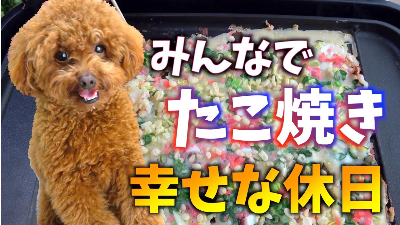 犬と過ごす休日 みんなでたこ焼き食べ放題で癒された Youtube