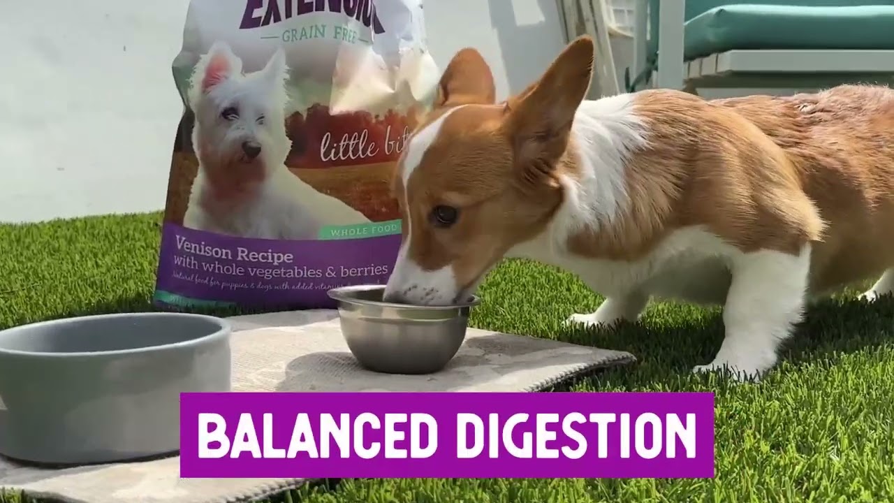 Health Extension Grain Free Venison Little Bites Recipe