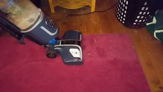 Hoover react professional pet first 