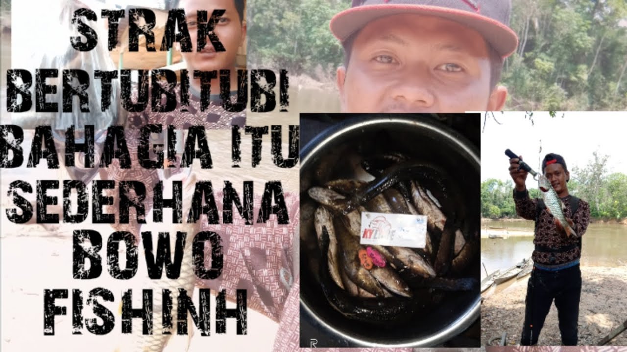 Castink strak bertubi tubi hampala & gabus