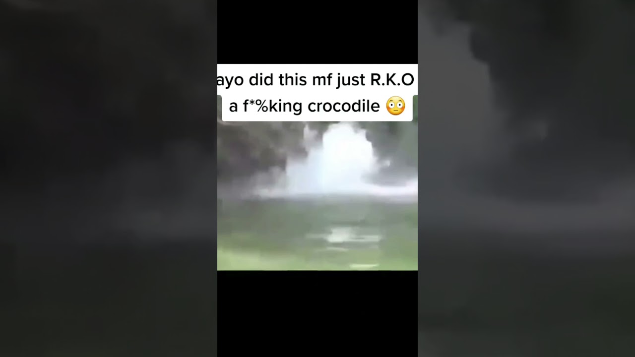 Dude R.K.O A Crocodile🤯 