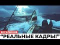 Встретили ли рыбаки у побережья Австралии гигантскую акулу мегалодона?