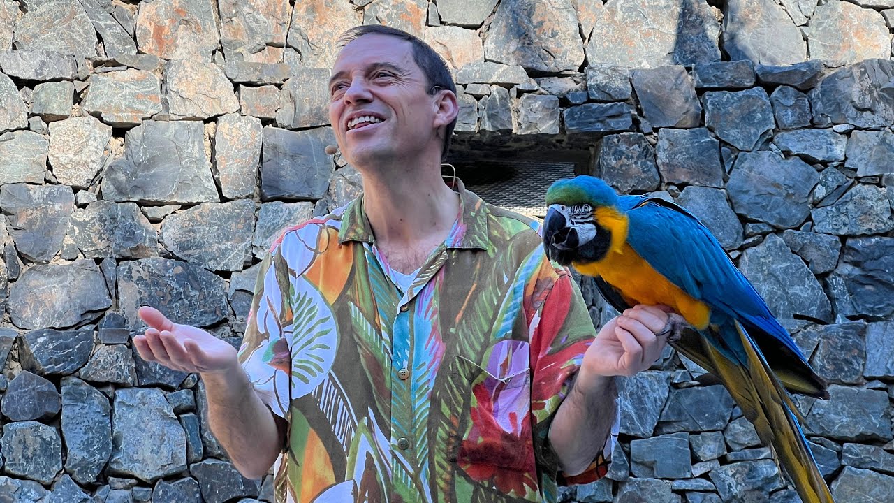 El ÚLTIMO show de la HISTORIA de AVES DEL PARAÍSO de PortAventura