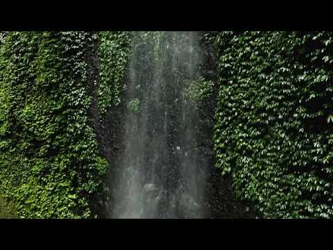 🎶 Lagu Nostalgia Terbaru 2025 – “Tanoh Gayo Yang Kuridukan” 🌄