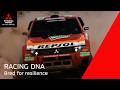 Racing DNA — Bred for resilience