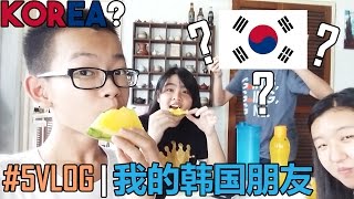 #5VLOG | 我的韩国朋友 Korean Friends
