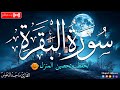 سورة البقرة كاملة لحفظ وتحصين المنزل وطرد الشياطين القارئ ماجد الدعوس