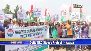 Delta NLC stages protest in Asaba against proposed amendments to the national minimum wage