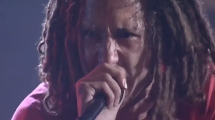 Rage Against The Machine - Calm Like a Bomb - Audio Edit - HQ (Video) 1999