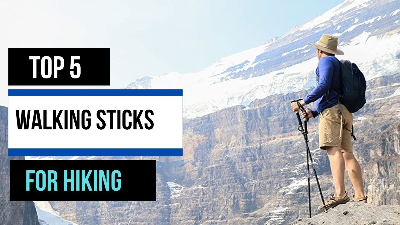 Best Walking Sticks For Hiking Walking Sticks For Hiking (Buying Guide