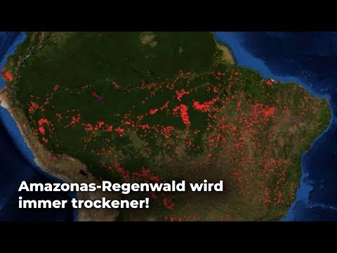 Amazonas-Regenwald bedroht: Atmosphäre