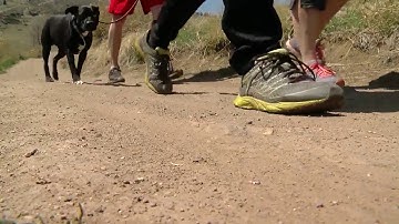 Be mindful of rattlesnakes on Colorado trails: 7 ways to avoid a rattlesnake attack