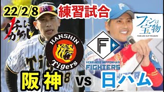 【阪神vs日ハム】矢野阪神が新庄剛志ビックボス率いる日本ハムと初対外試合⚾️2022年2月8日 #阪神タイガースライブ　#阪神タイガース #北海道日本ハムファイターズ