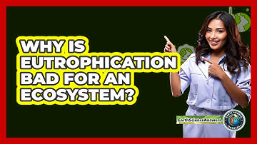 Why Is Eutrophication Bad For An Ecosystem? - Earth Science Answers