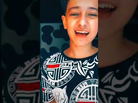 سامر المدني بيغني زي البيسة صوت دمار