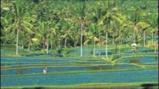 BALI - Sudahi Marahmu