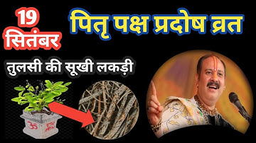 19 सितंबर प्रदोष व्रत के दिन तुलसी की सूखी लकड़ी वाला उपाय जरुर करे || Pradeep Ji Mishra