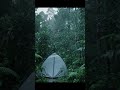 那天我獨自一人 那天我獨自一人