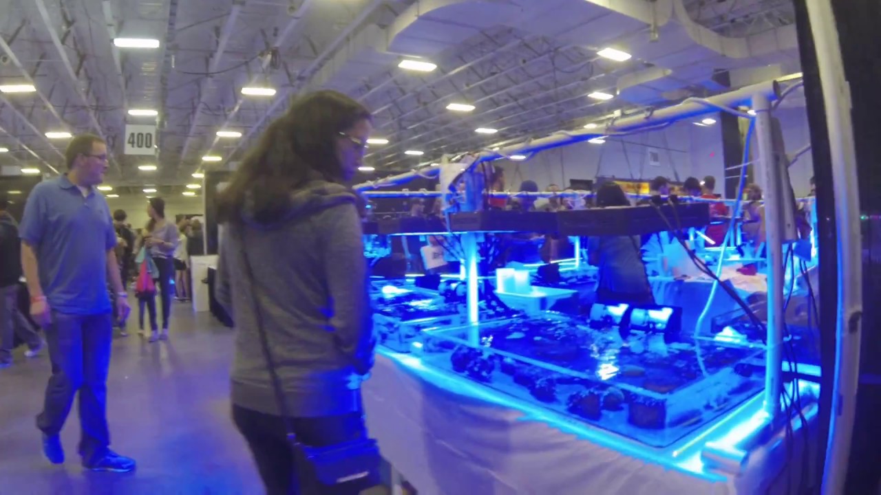 ReefaPalooza NY 2018 YouTube