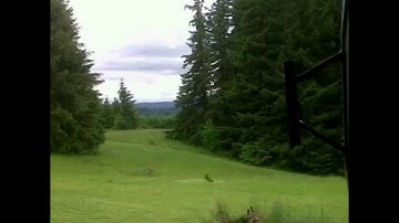 Real Einstein’s Riddle, insane levels 441-445