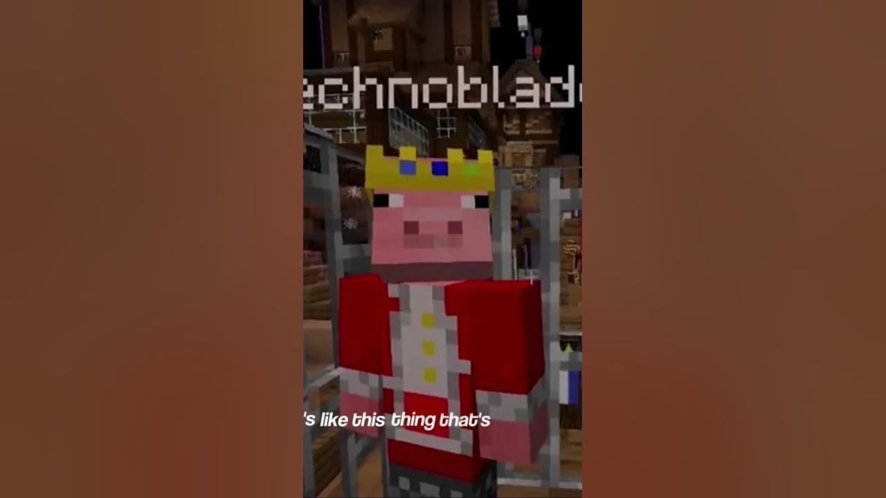 technoblade i can't believe it's 2025 it's almost 3 years he died man