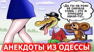 Очень пошлый анекдот про Ольгу и Алексея - Анекдоты из Одессы №289