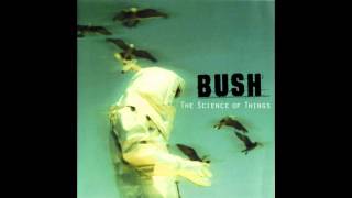 Bush - Mindchanger chords