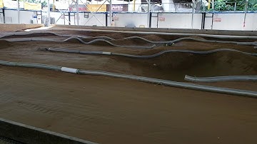 Jonathan Yeung NB48.4 at Lali 16 Feb 2019