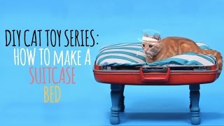 Diy Cat Toys - How To Make A Suitcase Bed
