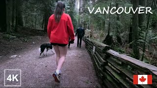 [4K] Vancouver Canada Pacific Spirit Regional Park Hiking | Natural Crunch Sounds | Walk the dog