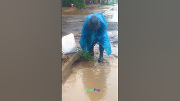 Clogged Drain On Road After Rain #shorts