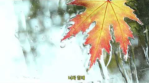 너와 함께   연교 - | Quiet Moments 조용한 순간 | K-pop Emotional Ballad Playlist