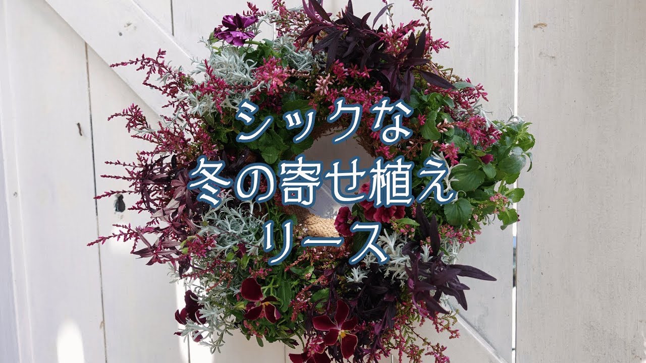 おしゃれな冬の寄せ植えリースの作り方 How To Make Winter Flower Wreath Youtube