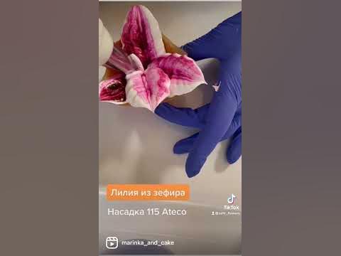 Лилия из зефира - YouTube