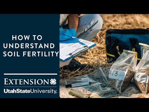 How to Understand Soil Fertility