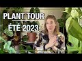 Passion plantes i plant tour t 2023 pleins de nouvelles plantes dans ma collection 