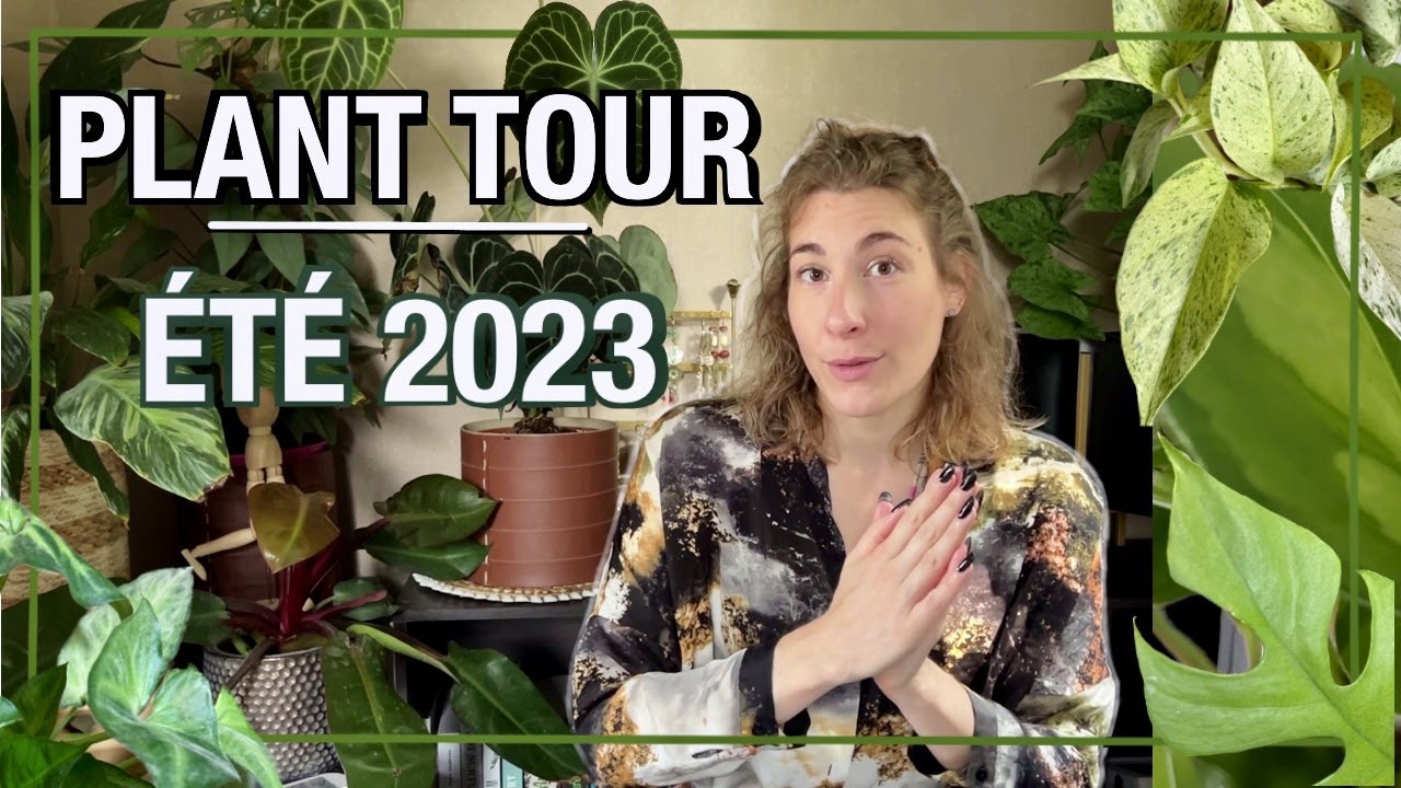 PASSION PLANTES I PLANT TOUR ÉTÉ 2023, Pleins de Nouvelles Plantes dans ma collection !