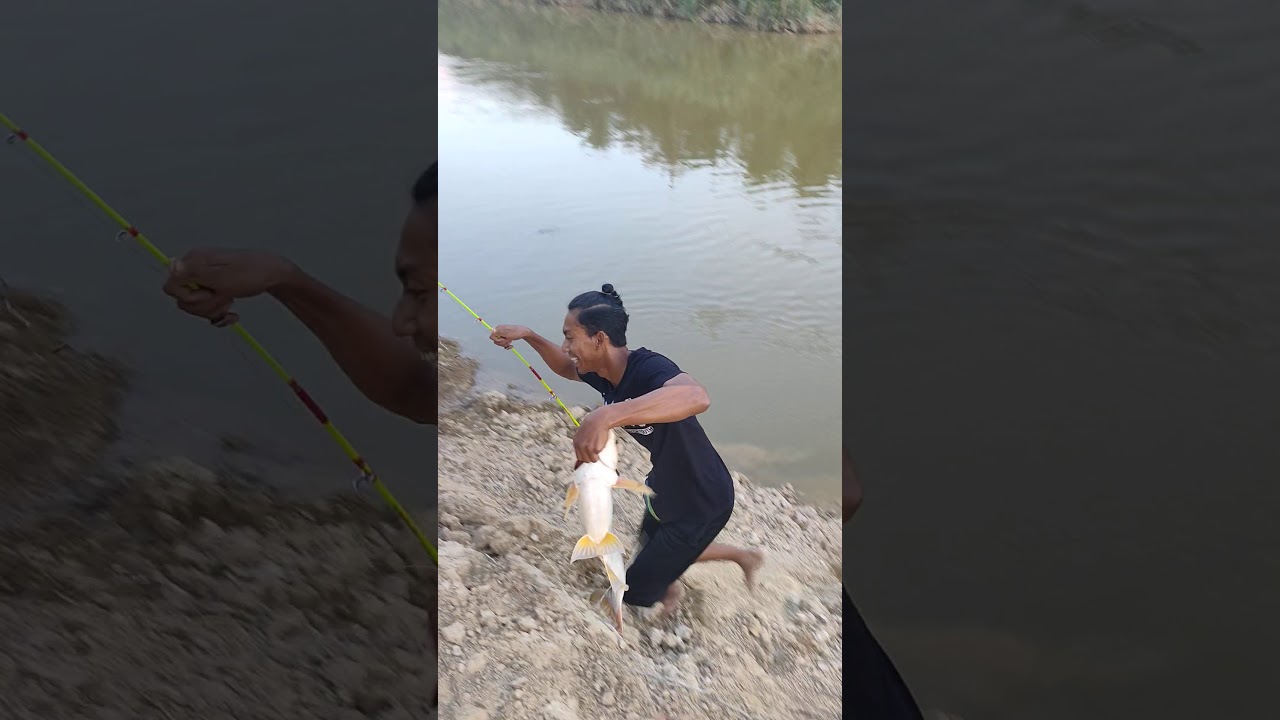 pancing ikan patin sugai selangor