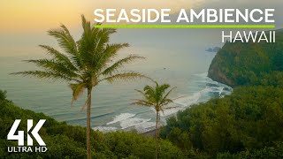 Calming Ocean Waves Sounds & Gentle Birds Songs - Peaceful Ambience of Hawaii in 4K UHD