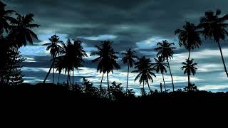 live wallpaper free, trees, palms, clouds, sky HD