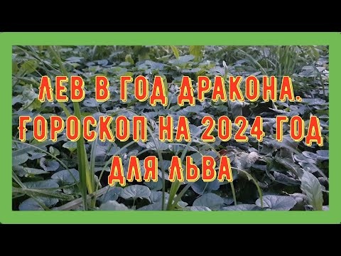 Лев в год Дракона. Гороскоп на 2024 год для Льва