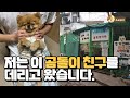 유기견 입양 여기서 하세요 | 30년 동안 운영 중인 사설 유기견 보호소 천사의 집