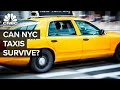 Can the nyc yellow taxi survive uber and lyft