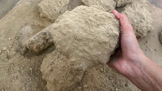 ASMR | New | Gritty Mud Dry Crumbling on Floor 🫀