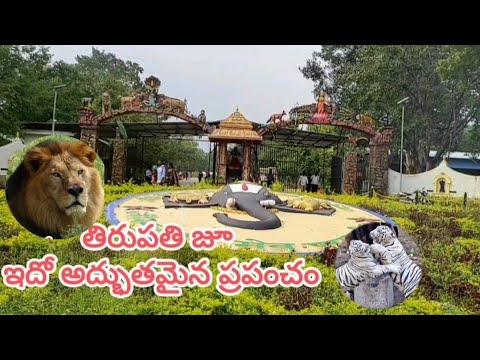 tirupati zoo park lion safari