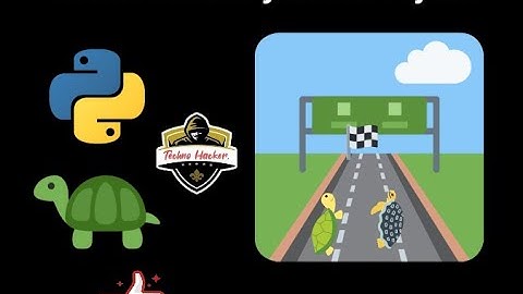 Turtle Race Python Project: Complete Guide | #turtle #developer #developeroption